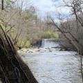 Are there any notable parks or green spaces in roswell, georgia?